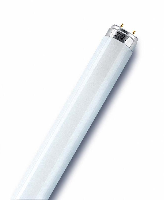 Лампа люминесцентная L 36W/77 FLUORA 36Вт T8 7700К G13 OSRAM 4050300003184