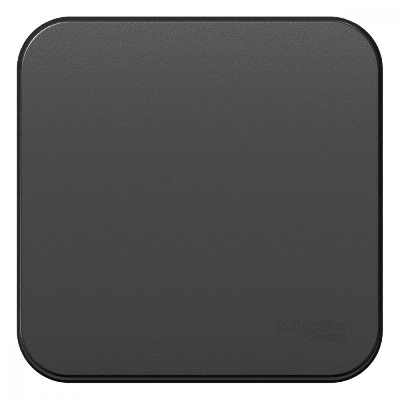 Выключатель 1-кл. ОП Blanca 10А IP20 (сх. 1) с самовозвратом с изолир. пластиной антрацит SE BLNCA101016