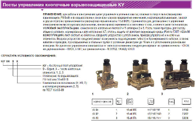Пост кнопочный КУ-91 1Exdb IIB T5 Gb/Ex tb IIIC T95C Db-ХЛ2 ВЭЛАН